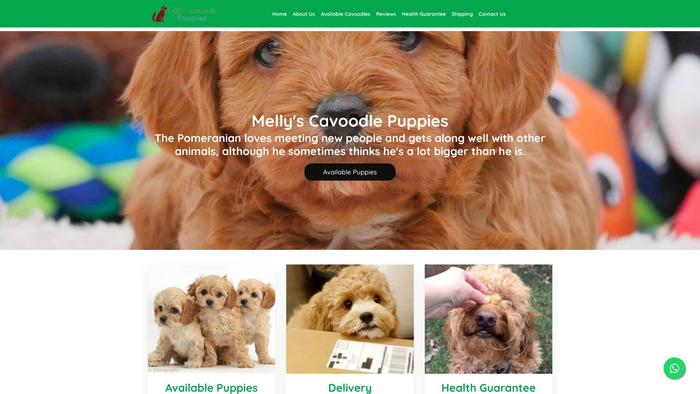 Mellyscavadoodlepuppies.com - Cavapoo Puppy Scam Review