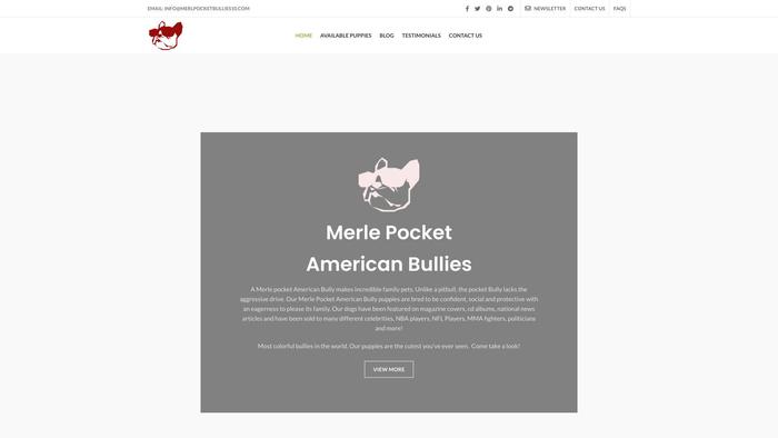 Merlpocketbullies10.com - French Bulldog Puppy Scam Review