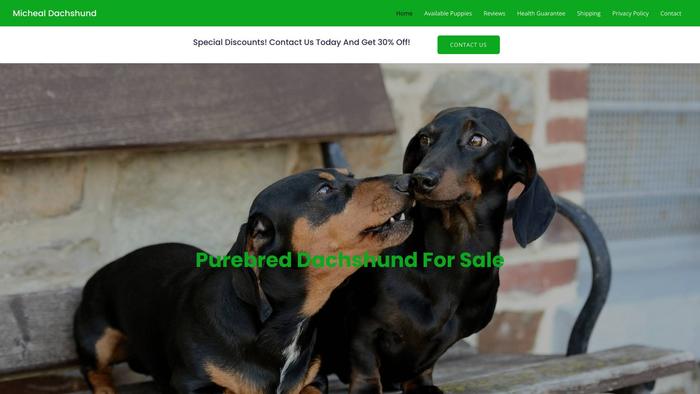 Michealdachshund.com - Dachshund Puppy Scam Review