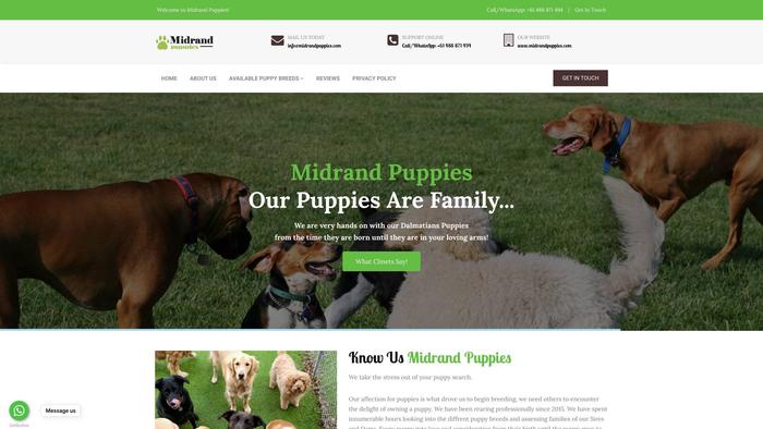 Midrandpuppies.com - Pug Puppy Scam Review