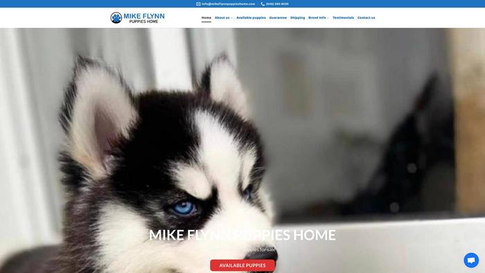 Mikeflynnpuppieshome.com - Husky Puppy Scam Review