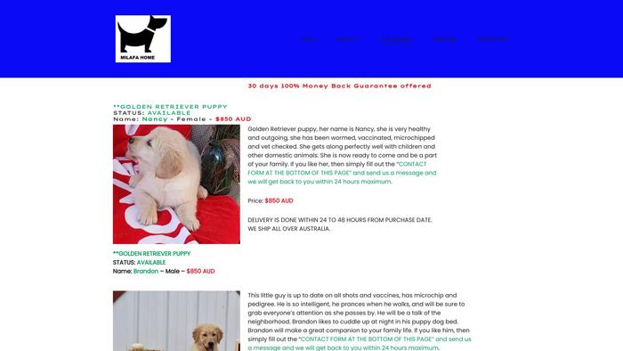 Milafahome.online - Golden Retriever Puppy Scam Review