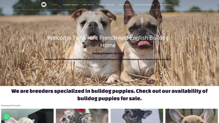 Millerfrenchandenglishbulldoghome.com - English Bulldog Puppy Scam Review