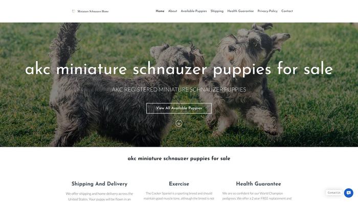 Miniatureschnauzerpuppyforsale.com - Schnauzer Puppy Scam Review