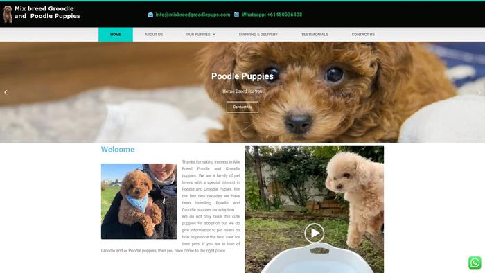 Mixbreedgroodlepups.com - Golden Doodle Puppy Scam Review