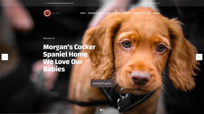 Morganscockerspanielhome.com - Cockerspaniel Puppy Scam Review