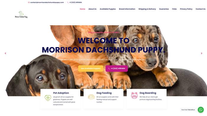 Morrisondachshundspuppy.com - Dachshund Puppy Scam Review