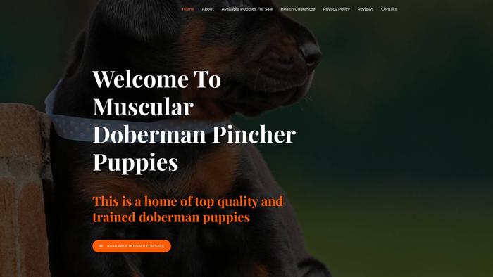 Musculardobermanpinscherpuppies.com - Doberman Pinscher Puppy Scam Review