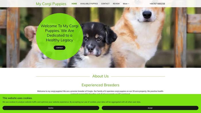 Mycorgipuppies.com - Corgi Puppy Scam Review