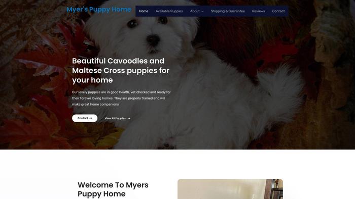 Myerspuppyhome.com - Cavapoo Puppy Scam Review