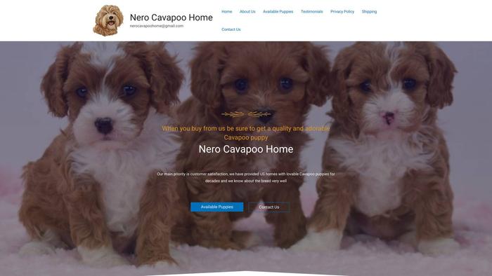 Nerocavapoohome.com - Cavapoo Puppy Scam Review