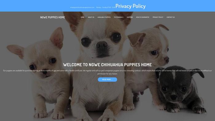 Ngwechihuahuapuppieshome.com - Chihuahua Puppy Scam Review