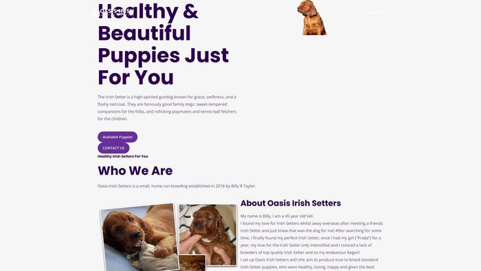 Oasisirishsetters.com - Labrador Puppy Scam Review