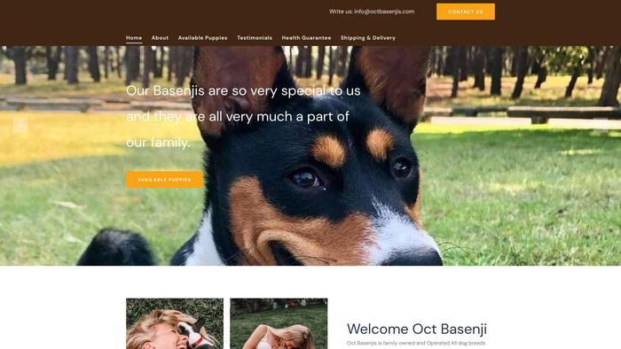 Octbasenjis.com - Basenji Puppy Scam Review