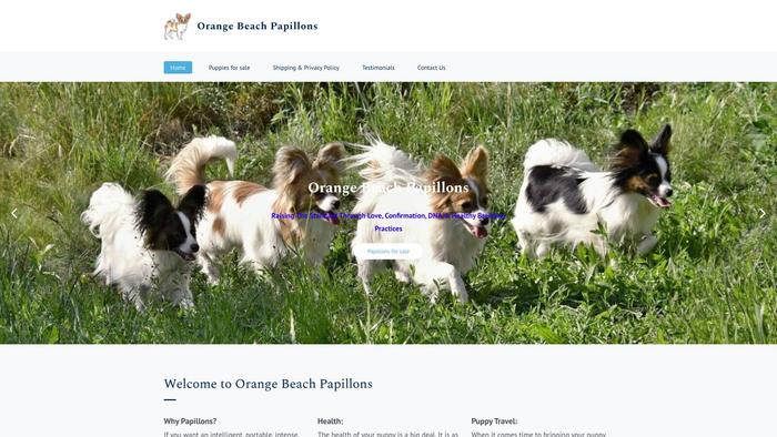 Orangebeachpapillons.com - Papillon Puppy Scam Review