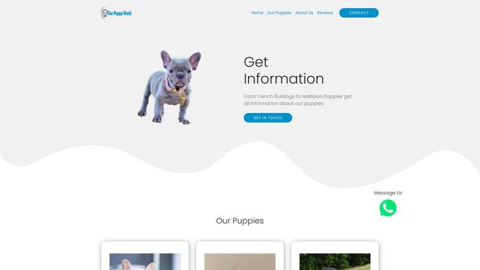 Ourpuppyworld.com - French Bulldog Puppy Scam Review