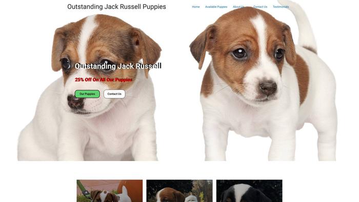 Outstandingjackrussell.com - Jack Russell Terrier Puppy Scam Review