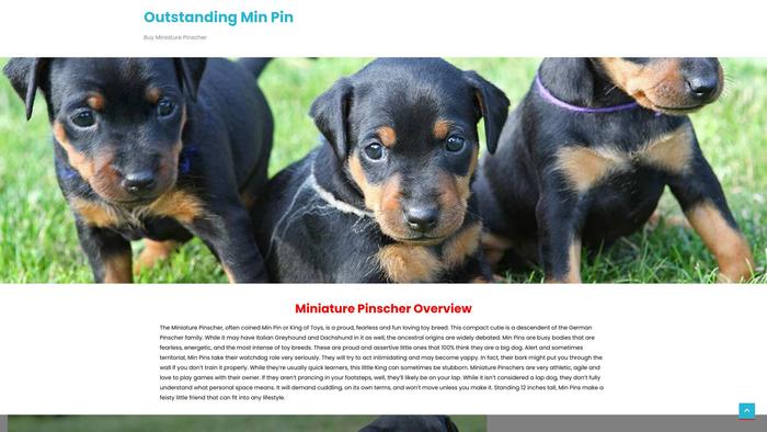 Outstandingminpin.com - Doberman Pinscher Puppy Scam Review