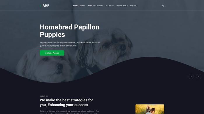 Papillonpuppiesforeverhome.com - Papillon Puppy Scam Review