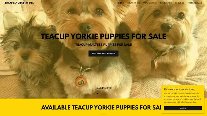 Paradiseyorkiepuppy.com - Yorkshire Terrier Puppy Scam Review