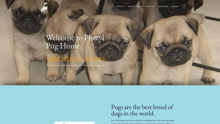 Patsypugspuppieslove.com - Pug Puppy Scam Review