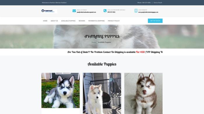 Pawfectsiberianhuskypuppies.com - Husky Puppy Scam Review