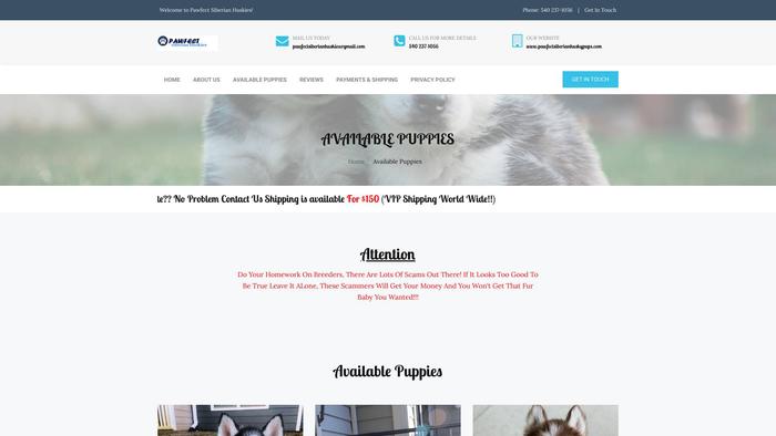 Pawfectsiberianhuskypups.com - Husky Puppy Scam Review