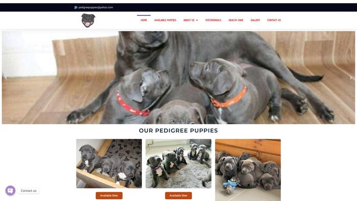 Pedigreepuppiesforsale.com - Terrier Puppy Scam Review