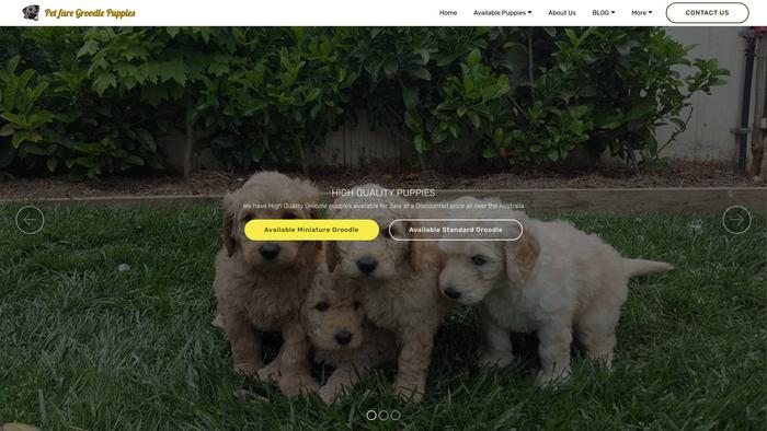 Petfaregroodlepuppies.com - Golden Doodle Puppy Scam Review