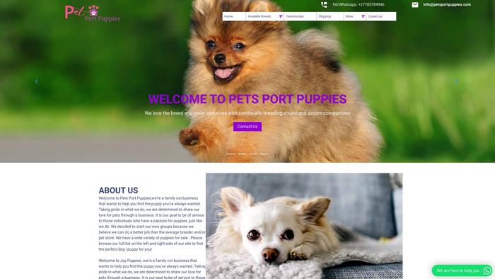 Petportpuppies.com - Boston Terrier Puppy Scam Review