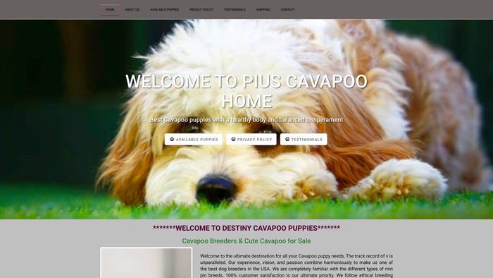 Piuscavapoohome.com - Cavapoo Puppy Scam Review