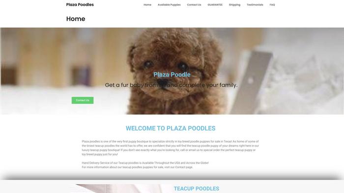 Plazapoodles.com - Poodle Puppy Scam Review