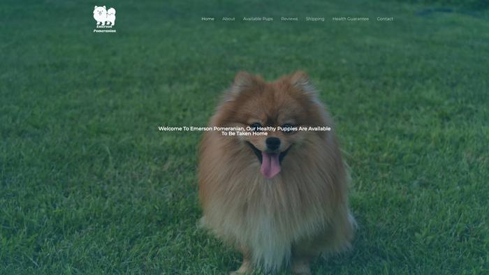 Pomeranianemerson.com - Pomeranian Puppy Scam Review