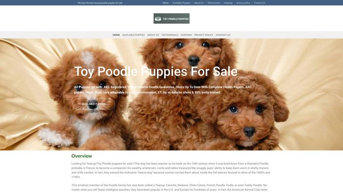 Poodle-puppiesforsale.com - Poodle Puppy Scam Review