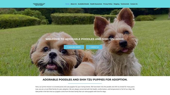 Poodlesnshitzupuppyhome.com - Poodle Puppy Scam Review