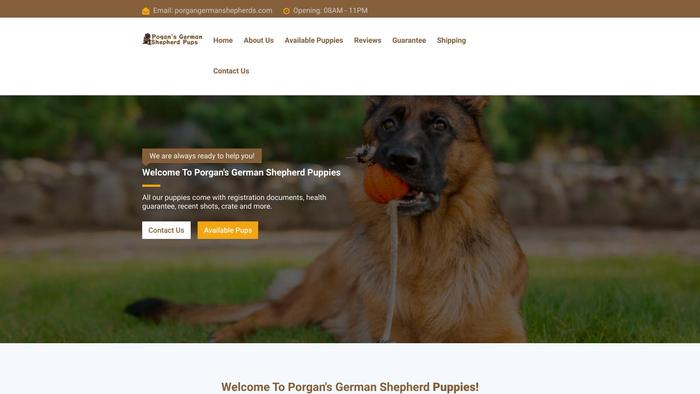 Porgangermanshepherds.com - Germanshepherd Puppy Scam Review