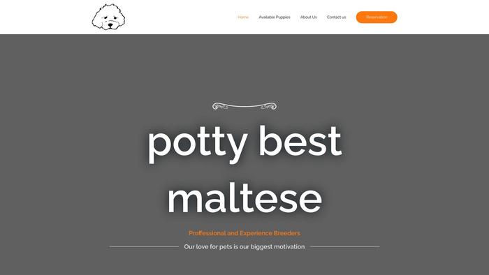 Pottybestmaltese.com - Maltese Puppy Scam Review