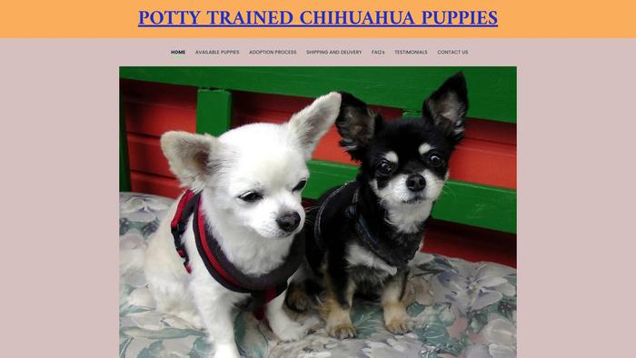 Pottytrainedchihuahuapuppies.com - Chihuahua Puppy Scam Review