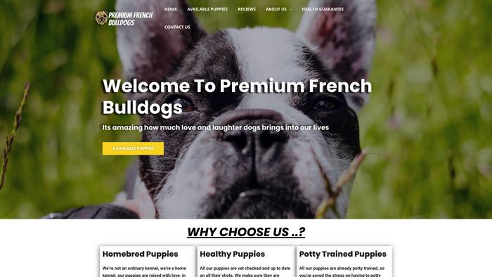 Premiumfrenchbulldogs.com - French Bulldog Puppy Scam Review