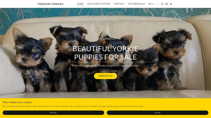 Premiumyorkie.com - Yorkshire Terrier Puppy Scam Review