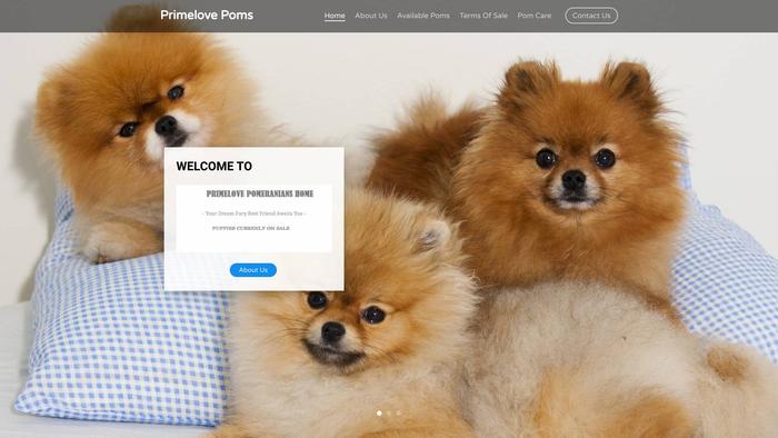 Primelovepoms.com - Pomeranian Puppy Scam Review