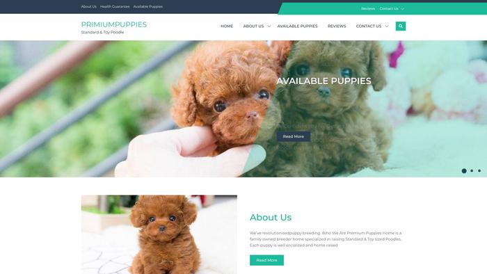 Primiumpuppieshome.com - Poodle Puppy Scam Review