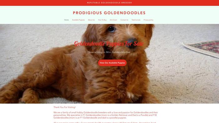 Prodigiousgoldendoodles.com - Golden Doodle Puppy Scam Review