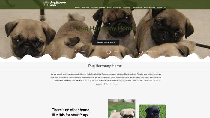 Pugharmonyhome.com - Golden Retriever Puppy Scam Review