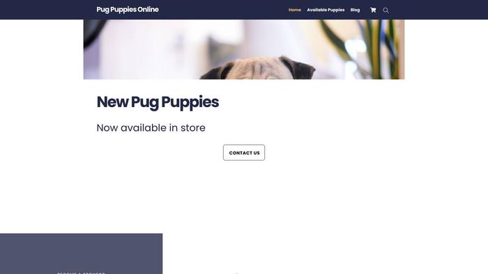 Pugpuppiesforsale.online - Pug Puppy Scam Review