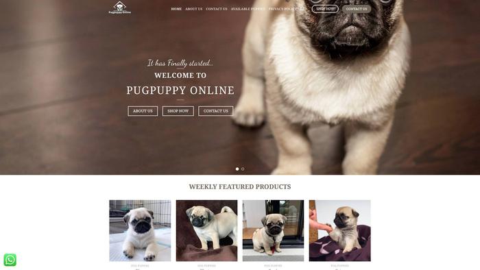 Pugpuppyonline.com - Pug Puppy Scam Review