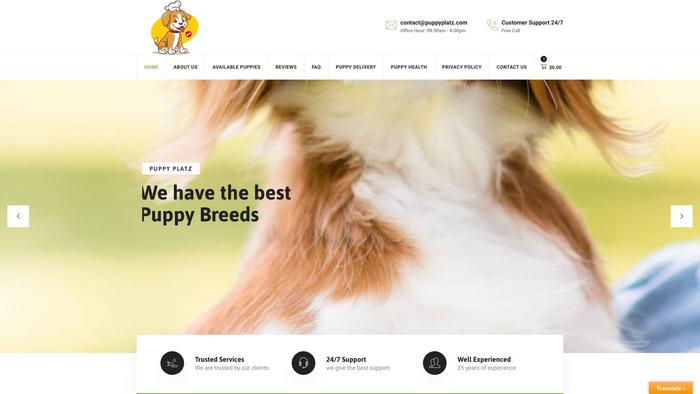 Puppyplatz.com - Cavachon Puppy Scam Review