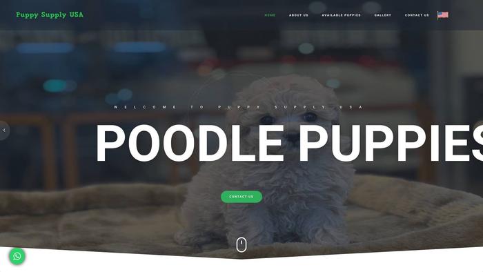 Puppysupplyusa.com - Poodle Puppy Scam Review