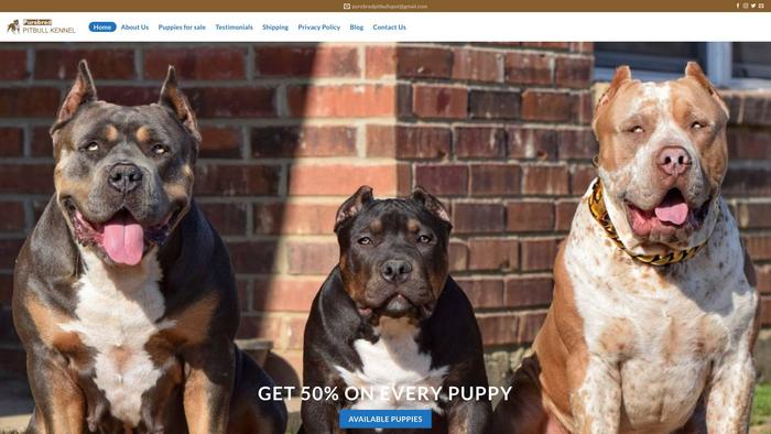 Purebredpitbullkennel.com - Pit Bull Puppy Scam Review