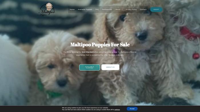 Purebreedmaltipoo.online - Maltipoo Puppy Scam Review